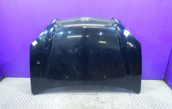 Hyundai Tucson JM Engine bonnet/hood 