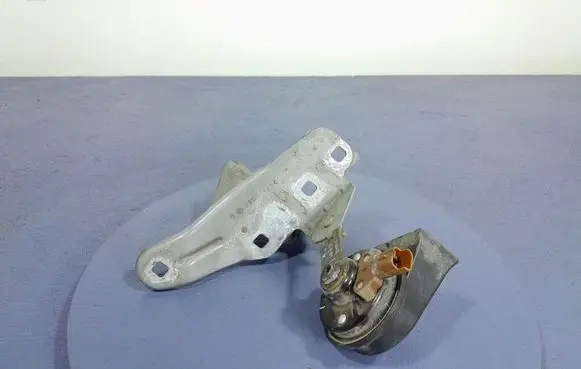 Chevrolet Express Horn signal 256100483R