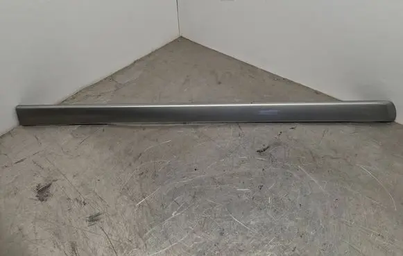 Nissan X-Trail T30 Front door trim (molding) 808718H300