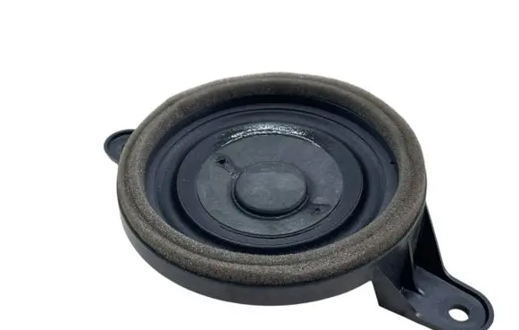 Front door speaker