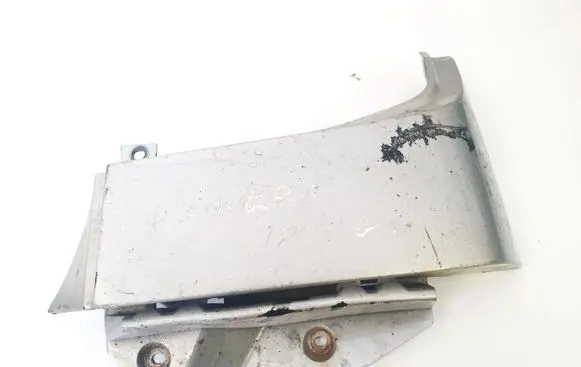 Rear/tail light trim molding