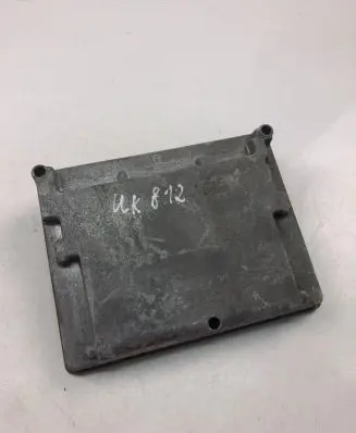 Engine control unit/module ECU