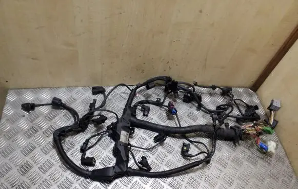 BMW X1 E84 Engine installation wiring loom 850782505 850782405 758077104D