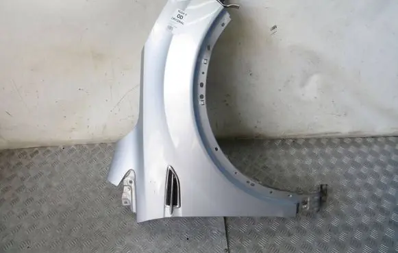 Fender