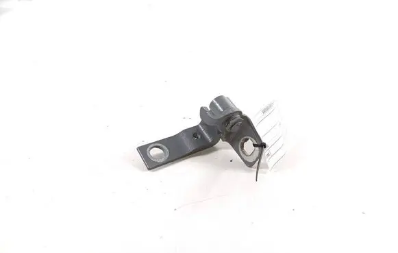 Rear door lower hinge
