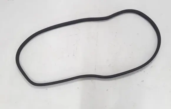 Renault Zoe Rear door rubber seal (on body) 