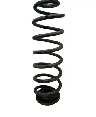 Volkswagen PASSAT B7 Rear coil spring