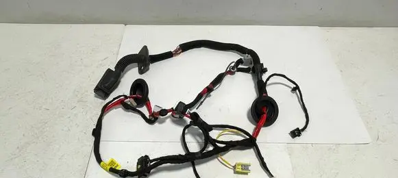 Rear door wiring loom