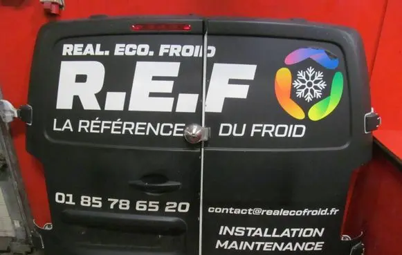 Peugeot Expert Back/rear loading door EXPERTDRZWITYL