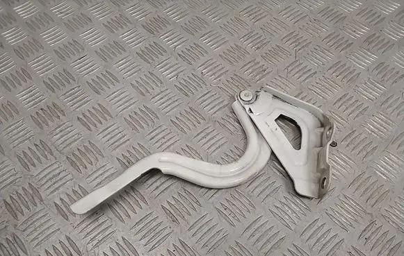 Hyundai Ioniq Engine bonnet/hood hinges 