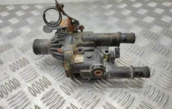 Thermostat/thermostat housing