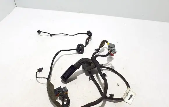 Other wiring loom