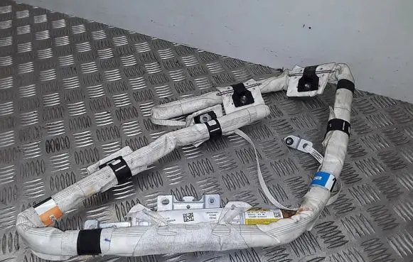 Ford Focus Roof airbag 1B6301501