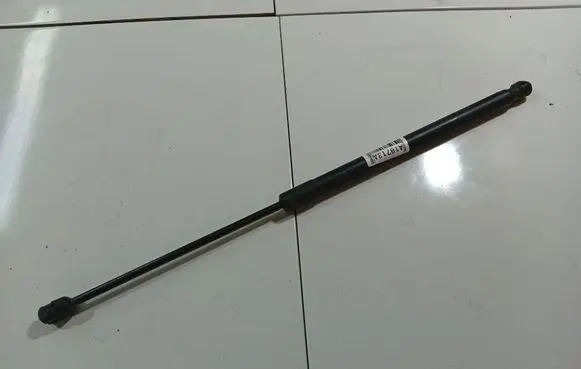 Tailgate/trunk strut/damper