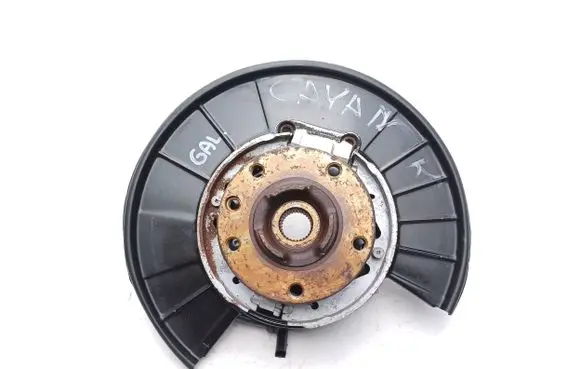 Porsche Cayenne (92A) Rear wheel hub 95833161210