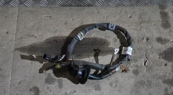 Porsche Panamera (971) Other wiring loom 971971054J