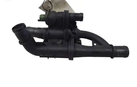 Thermostat/thermostat housing