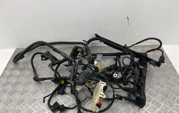 Engine installation wiring loom