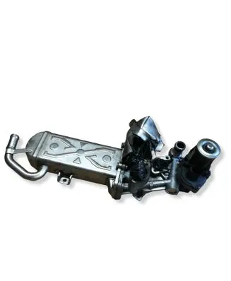 Volkswagen Golf VI EGR valve 11725509 0280751016