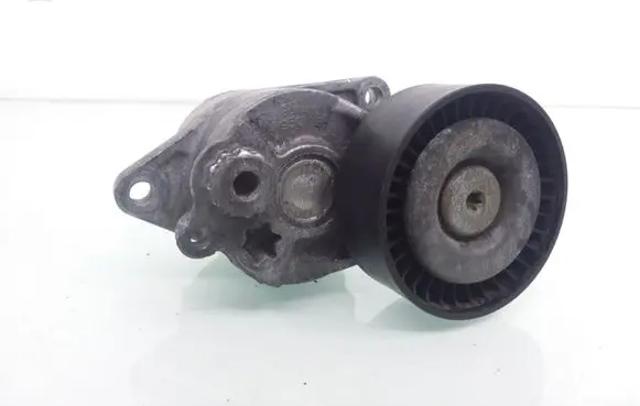 Mercedes-Benz E W211 Alternator belt tensioner 950151