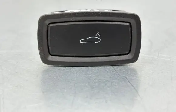Porsche Macan (95B) Tailgate/boot open switch button 7PP959832H