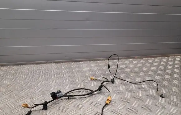 Audi A4 S4 B9 Rear door wiring loom 8W0971693H