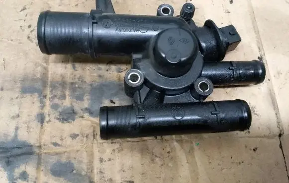 Thermostat/thermostat housing