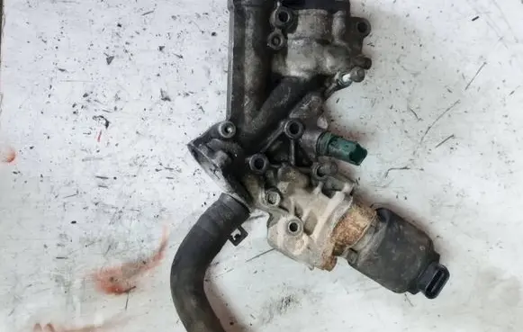 Citroen Xsara Picasso EGR valve 97097 32501A