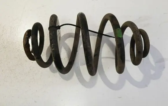 Rear coil spring