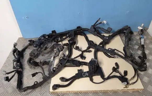 Toyota RAV 4 (XA50) Engine installation wiring loom 8212142N70