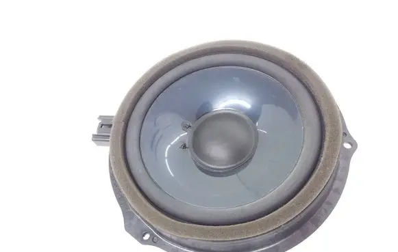 Front door speaker