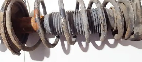 Hyundai Elantra Rear coil spring