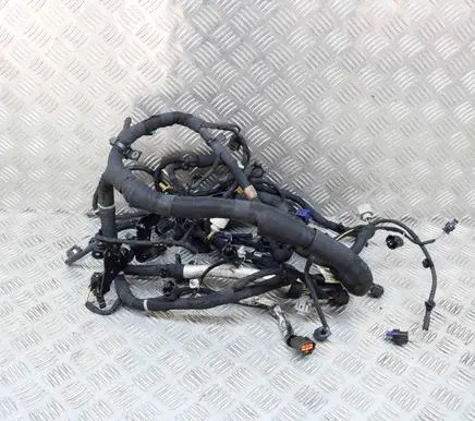 Land Rover Range Rover Sport L494 Engine installation wiring loom FPLA9H589CF