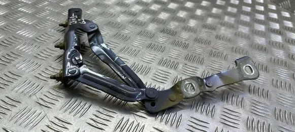 Tesla Model 3 Tailgate/trunk/boot hinge 002IDR