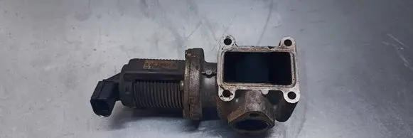 Opel Signum EGR valve 50024005
