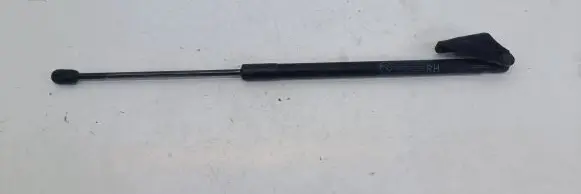 Tailgate/trunk strut/damper