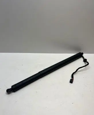 Tailgate/trunk strut/damper