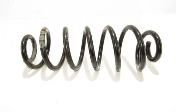 Rear coil spring