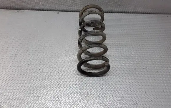 Dodge Dakota Front coil spring
