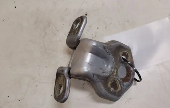 KIA Carens I Front door lower hinge