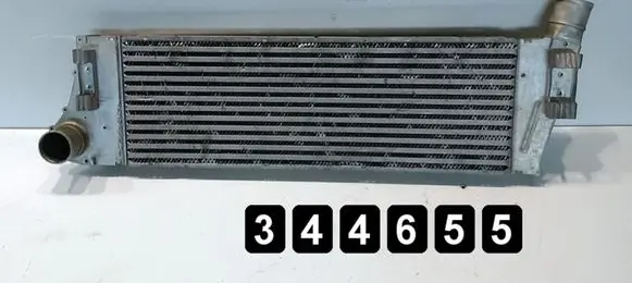 Renault Megane II Coolant radiator 8200115540