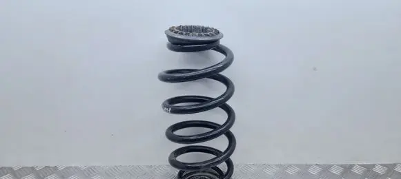 Rear coil spring