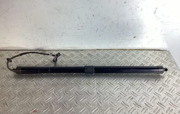 Tailgate/trunk strut/damper