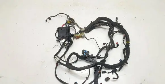 Engine installation wiring loom