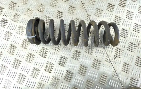 Rear coil spring