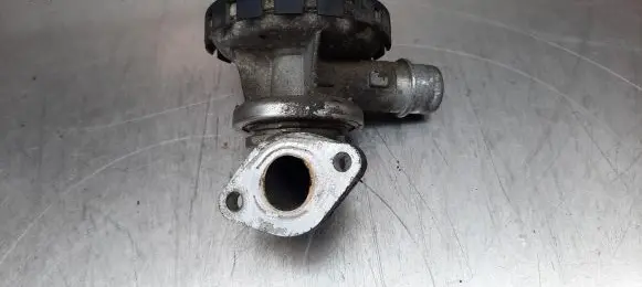 Peugeot 806 EGR valve