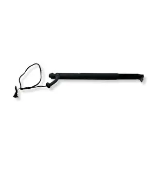 BMW X6 E71 Tailgate/trunk strut/damper 4887653 M1381960 27032012