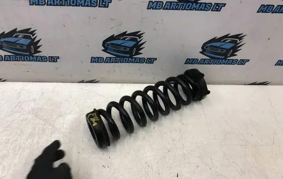 BMW X1 E84 Rear coil spring 6764419