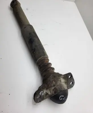 Volkswagen Golf Plus Rear shock absorber/damper 814962559393