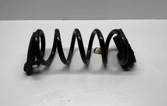 Ford Mustang VI Rear coil spring JR3C5560JB Q48PA